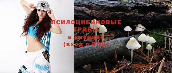 гидропоника Абаза