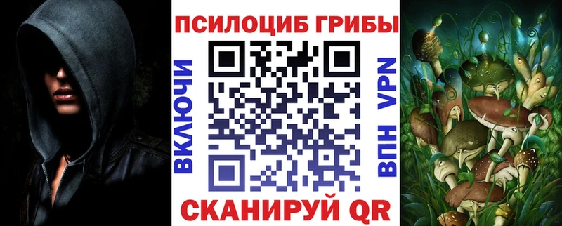 сколько стоит  Дальнереченск  Псилоцибиновые грибы мухоморы 
